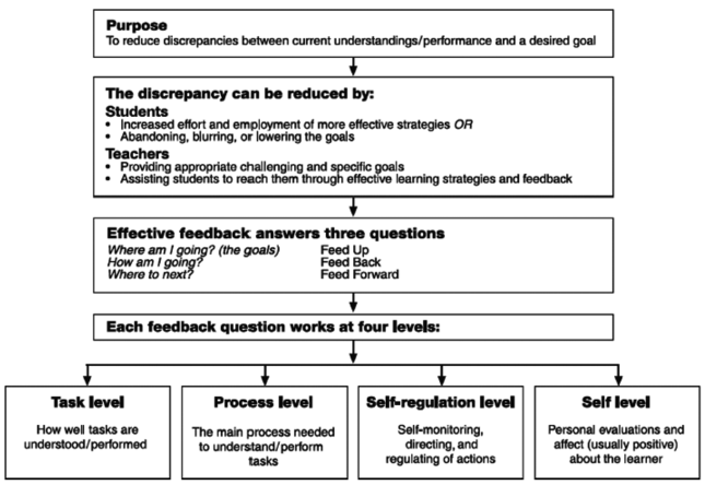 Hattie Model of Feedback